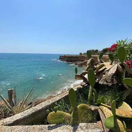Paradis Con Encanto Y Vistas Al Mar * Vinaros